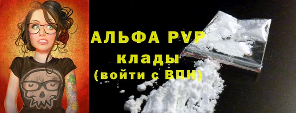 соль ск Каменка