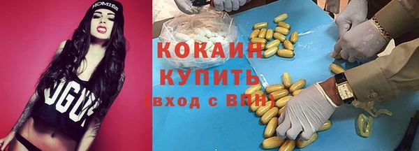 соль ск Каменка