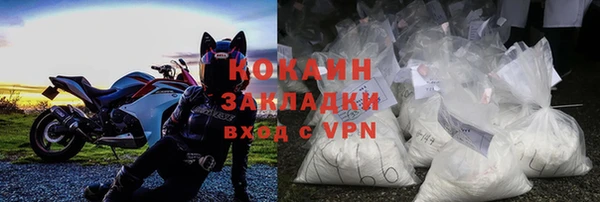 соль ск Каменка