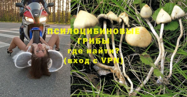 хмурый Каменск-Шахтинский