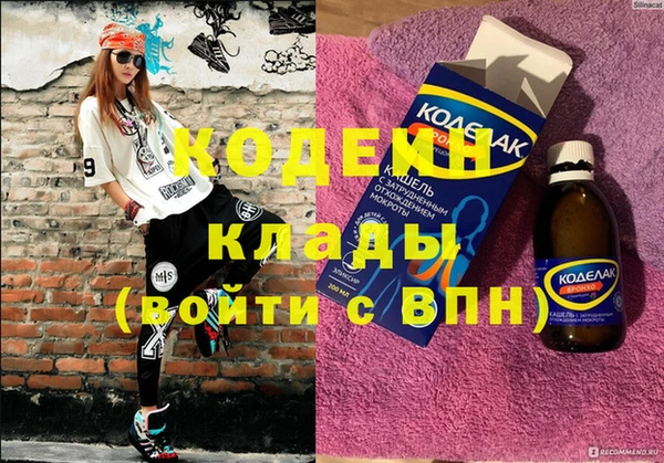 соль ск Каменка