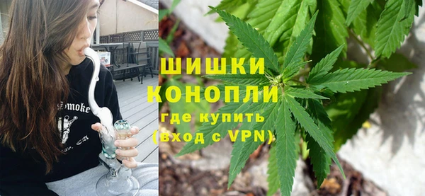 соль ск Каменка