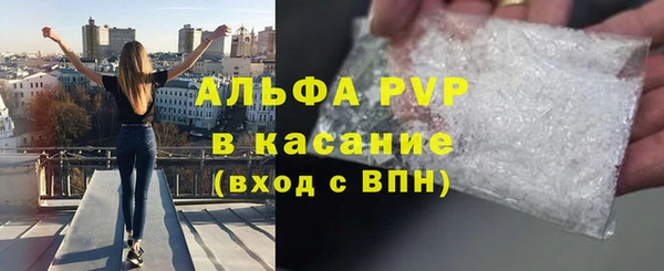 соль ск Каменка