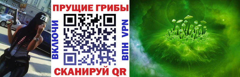 Псилоцибиновые грибы Psilocybine cubensis  Купить  Холм 